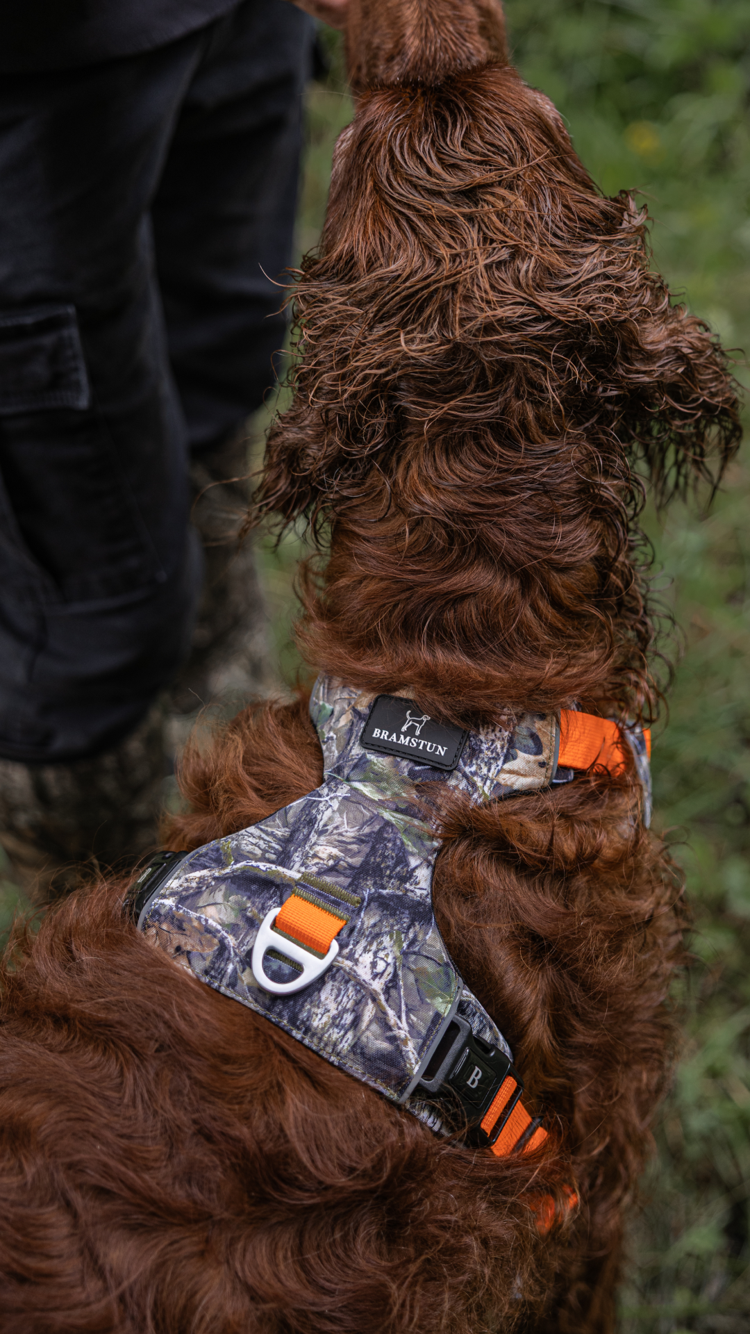 Big game hunting collection – Bramstun gear for hunting dogs