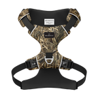 Horizon Harness – Blind Edge