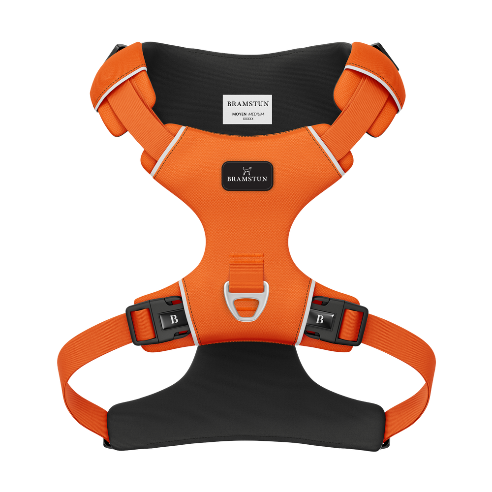 Horizon Harness – Blaze Orange