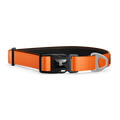 Blaze Orange Polyester Collar