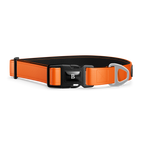 Blaze Orange Polyester Collar