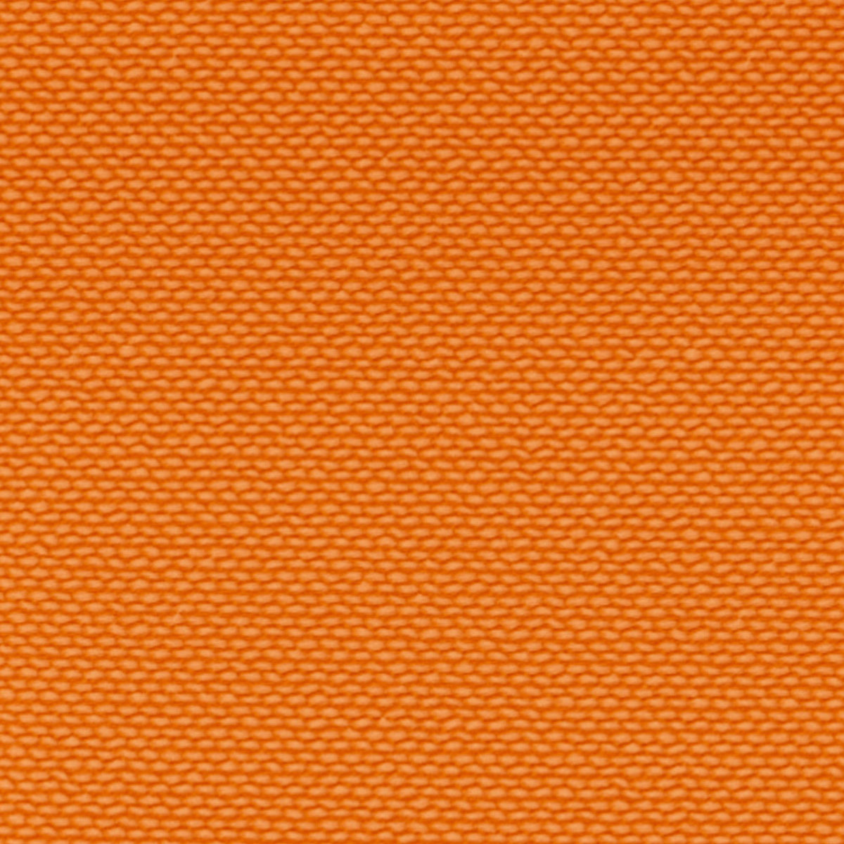 Blaze Orange pattern – Blaze Orange Polyester Leash